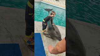 Ankara Turkey Mustafa with Dolphin
