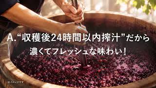 メルシャン 酸化防止剤無添加※ワイン ※亜硫酸塩無添加 トリビア動画