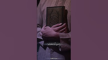 وعسى أن تكرهوا شيئاً وَهُوَ خير لكم يصرت القارئ ياسر الدوسري سورة(البقرة)