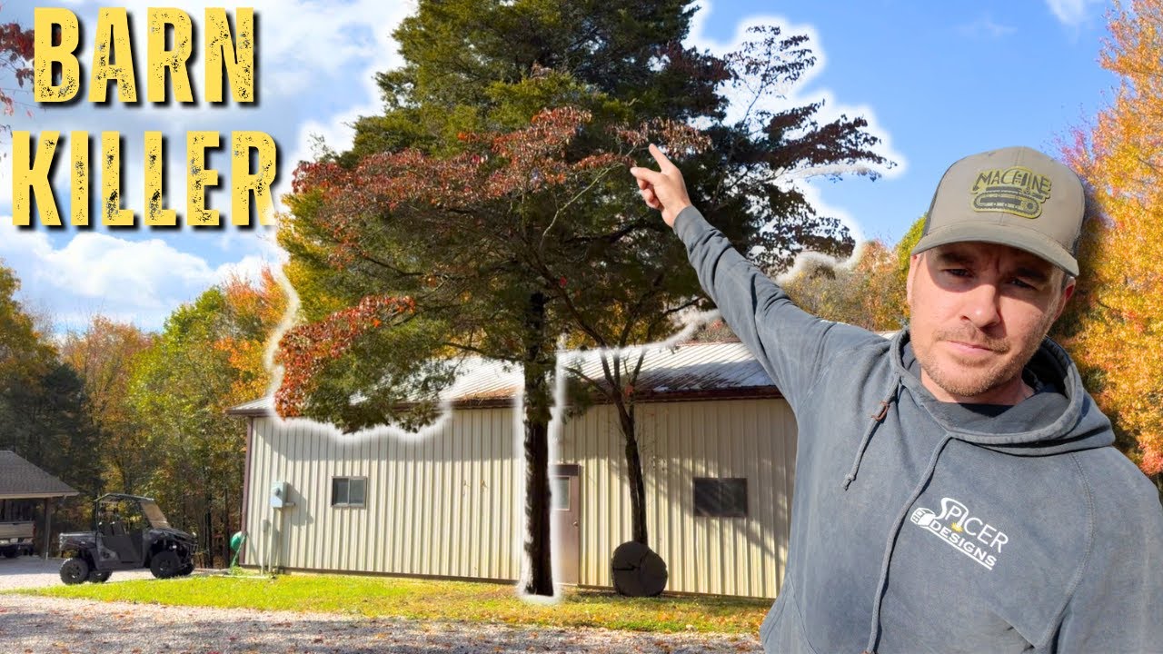 I Finally Took Down the Tree That’s Been DESTROYING My Barn... - YouTube