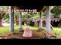 【Kukikoく黄こ】Konohanasakuyahime/コノハナサクヤ姫 踊ってみた