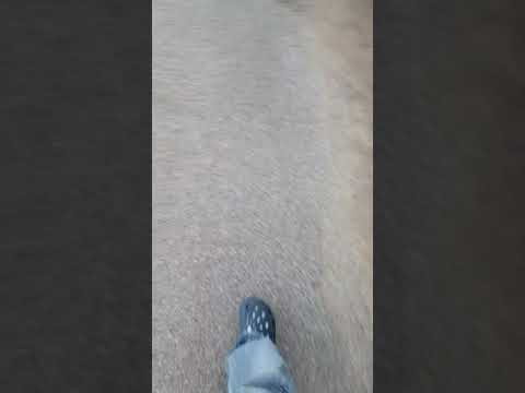 video editing software free Info Video