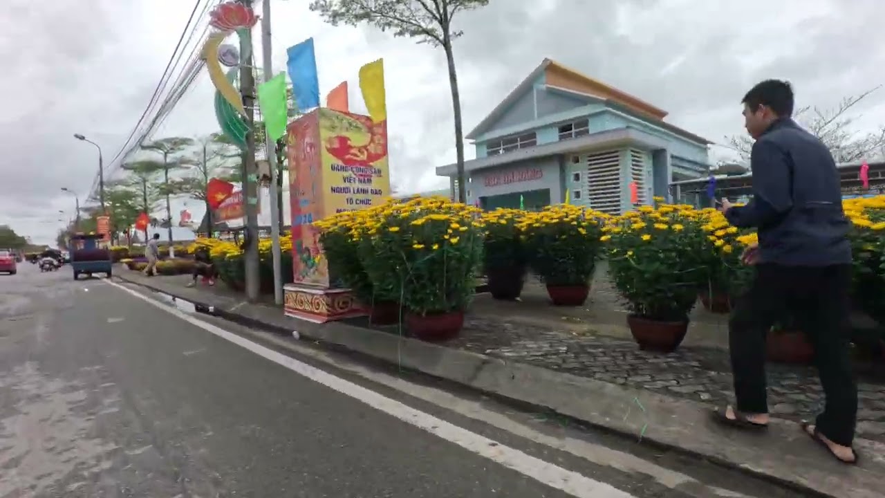 Hoa xuân Bính Ngọ 02-2026 017517