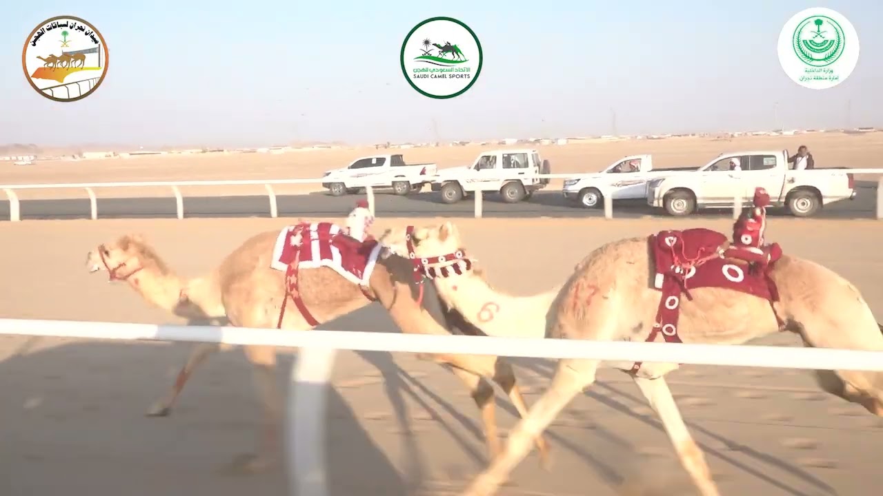 6/قعدان لقايا / 4000م / مسامح / ناصر سالم الهمامي