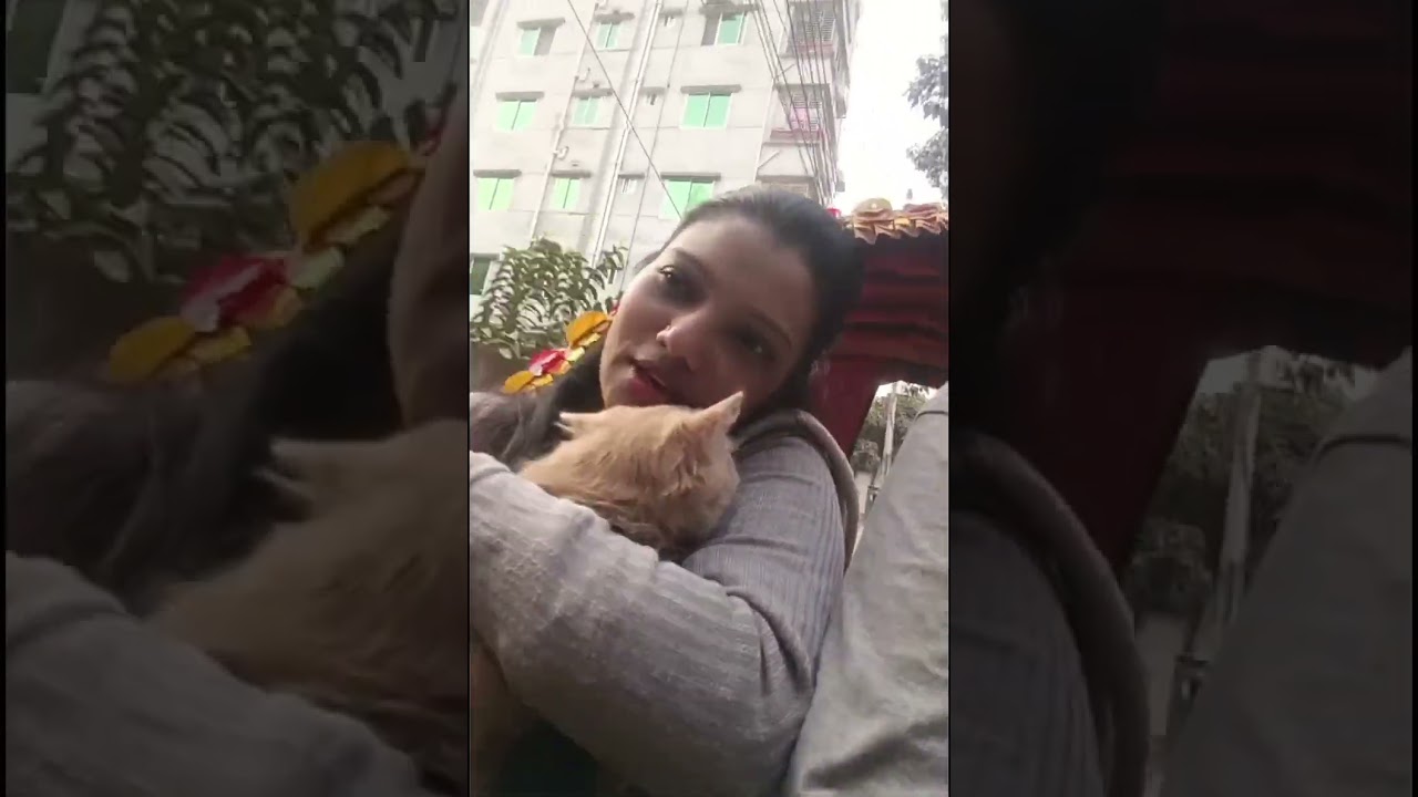 আমি বিড়াল কিভাবে ডেলিভারি দেই সব দেখিয়ে দিলাম  #cat #petlover #youtubevideo 