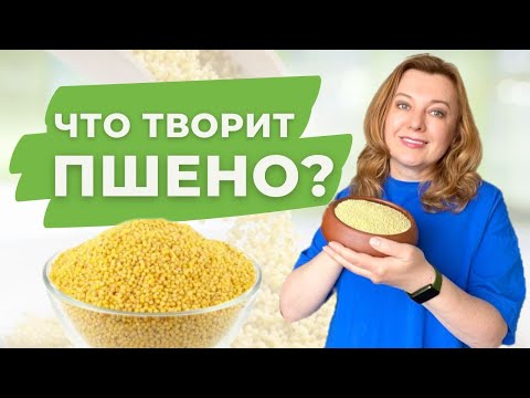 От чего спасет тебя пшено? Полезные свойства пшена от А до Я