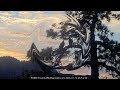Sunday morning in the Big Bear Valley 12.07.2026 @FOBBVCAM
