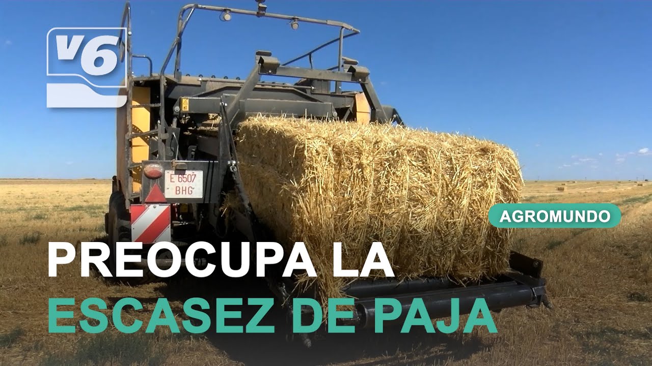 Visitamos un negocio familiar dedicado a la paja en Albacete