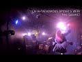 2026/6/28 Chi-bo「VENOMOUS SPIDER'S WEB」(the GazettE)@京都AFTERBEAT