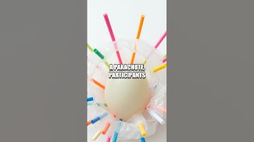 The Secrets of the Egg Drop Challenge