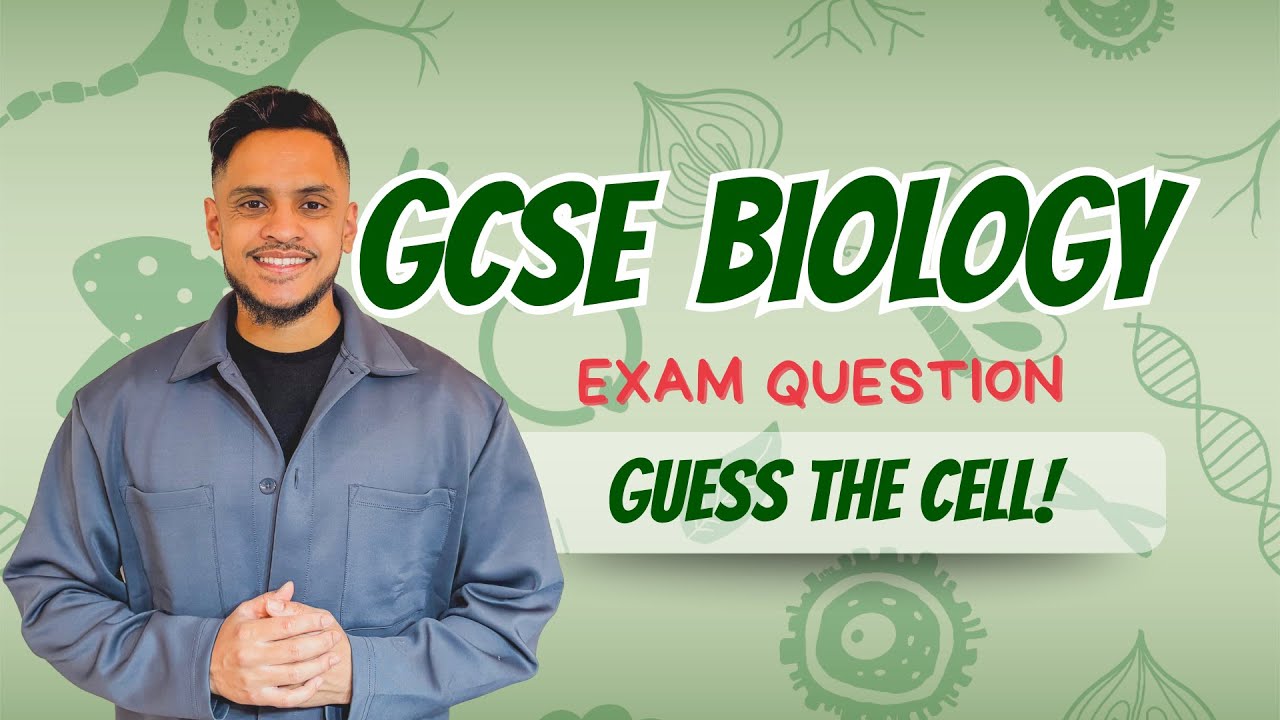 GCSE Biology: Exam Revision | Specialised Cells - YouTube
