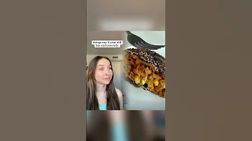 Everyday Is The Worst Day Ever Lately Mom Momtok Skit Comedy Momhumor 