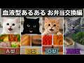 【血液型あるある】性格が違う猫たちの個性が詰まったお弁当交換