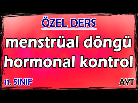 31) Menstrüal Döngü - Hormonal Kontrol - Özel Ders (11. Sınıf)