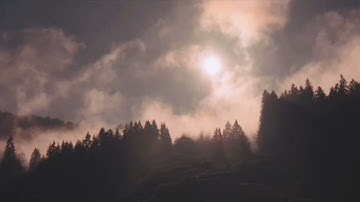 تلاوة سورة الفاتحة وماتيسر من سورة ق 🌸🍂 غذاءُ الروح ❤️