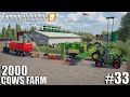 From rye to HAY PELLETS production chain | 2000 Cows Farm | Timelapse #33 | Farming Simulator 19