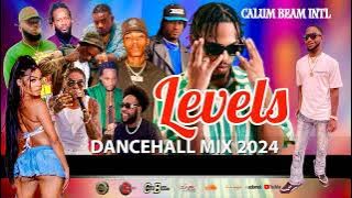 Dancehall Mix 2024 | New Dancehall Songs | Levels | 450,Chronic law,Alkaline,Vybz kartel,Nigy Boy