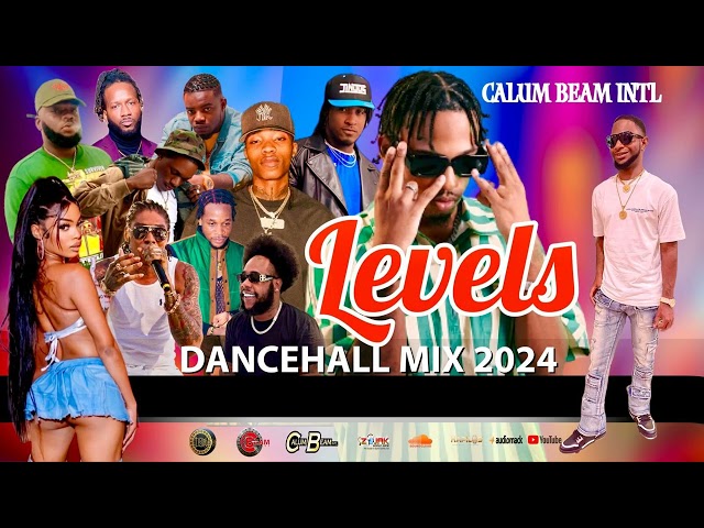 Dancehall Mix 2024 | New Dancehall Songs | Levels | 450,Chronic law,Alkaline,Vybz kartel,Nigy Boy class=