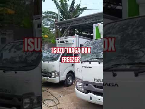 ISUZU TRAGA BOX FREEZER #automobile #isuzutraga #isuzuindonesia #isuzu #isuzu2024