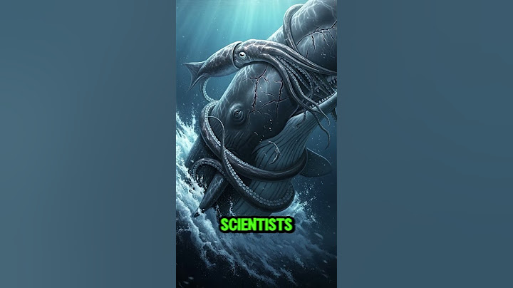 Are Giant Squids REALLY That Giant? The Deep Sea Truth 🦑 #scienceshorts #didyouknow #facts
