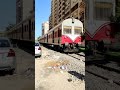 فرحة أسر بقطار رشيد فرحة أسر بقطار رشيد