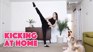 Taekwondo Workout At Home (Snowed In Vlog)