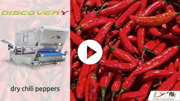 #Discovery #sortingmachine for 🌶️ #chilipeppers | RAYTEC VISION SpA