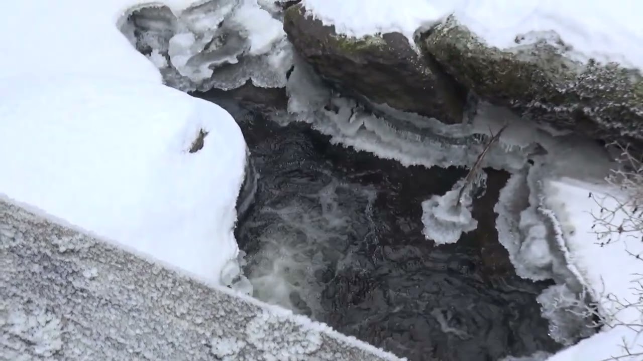 ❄️ -10 Grad im Waldviertel: Die Stille des gefrorenen Höllfalls