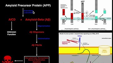 Prions | Mechanisms and Theories of Alzheimers Disease (Amyloid & Tau)
