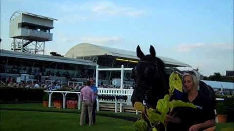 A Day In The Life of A Professional Gambler - Part 2