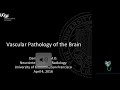 Vascular pathology of the brain introduction  health4theworld academy