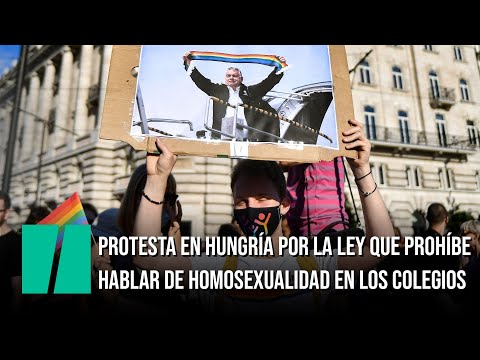 Vídeo: 31 Superpoderes Que Todas Las Personas LGBT Tienen - Matador Network