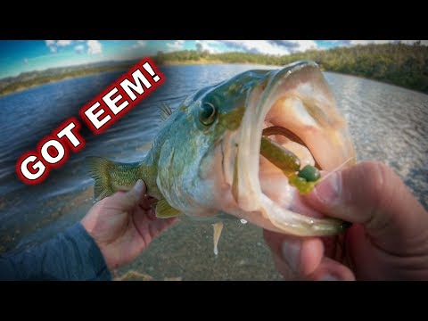 Catch 10x MORE Bass - TRY THIS! (Bass Fishing Tips) 