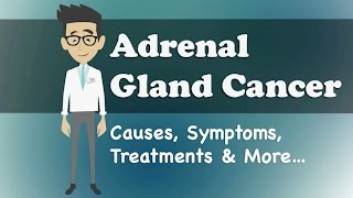 Adrenal Gland Cancer  Causes, Symptoms, Treatments & More…