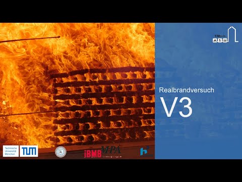 TIMpuls - Realbrandversuch