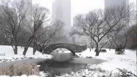 Mick Taylor - Carla Olson ~ Winter