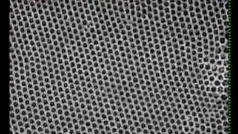 Compressive and tensile deformation in bubble raft