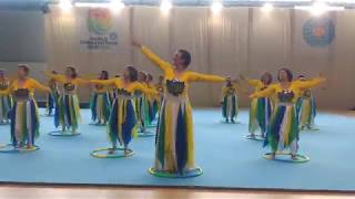 World Gymnaestrada 2019 BRA15