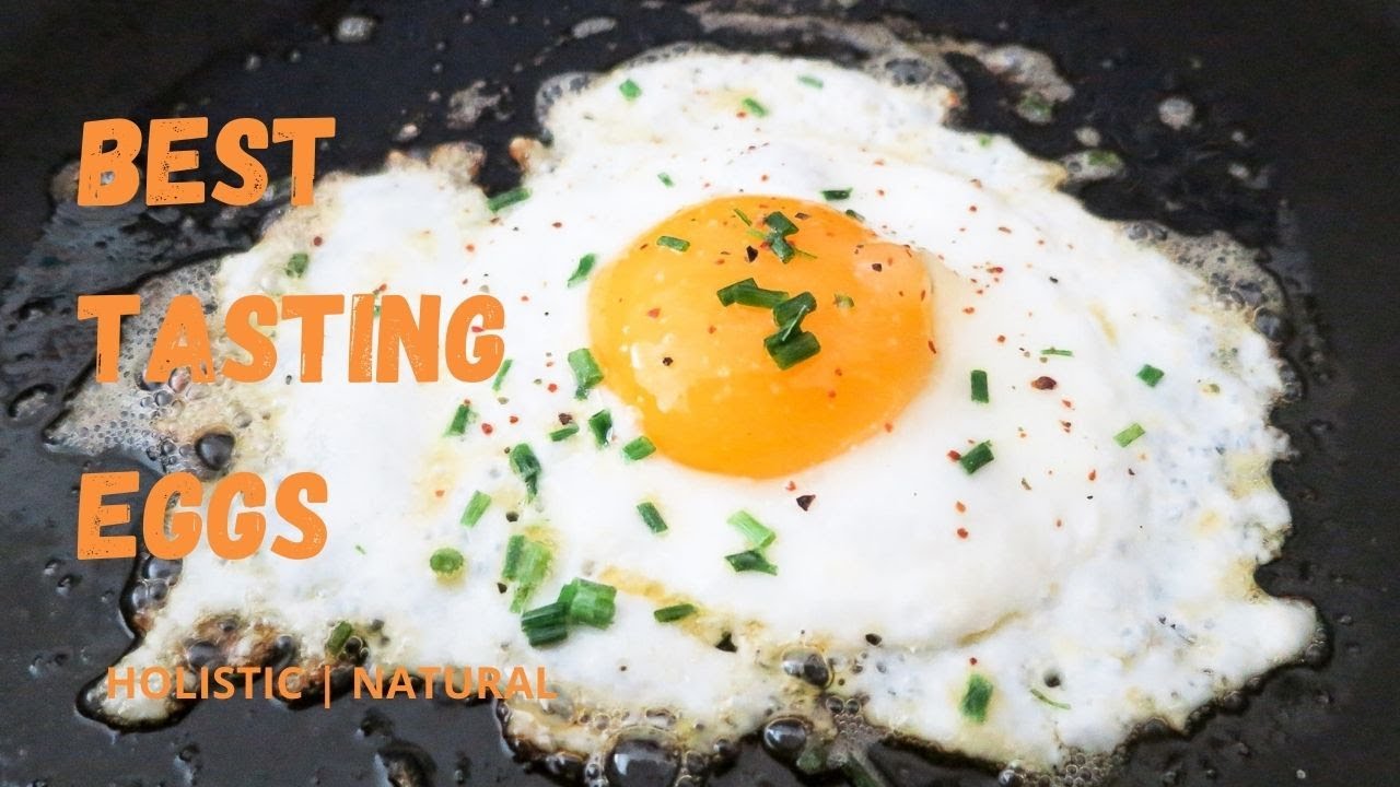 🐣 🍳 🐛 What To Feed Your Chickens For The Best Tasting Eggs! YouTube