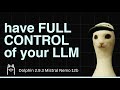 How To Run Uncensored and Private LLMs Offline &amp; Locally | Dolphin 2.9 Mistral Nemo