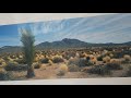 Dave Patton artist of the month