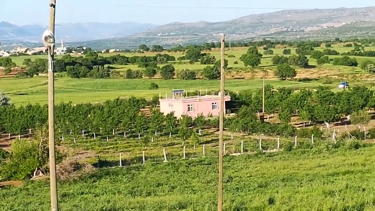 BILBILO- Diyarbakır-Dicle-Çavlı (Hembel) Köyü