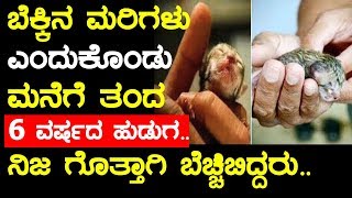 ಬೆಕ್ಕಿನ ಮರಿಗಳು ಎಂದುಕೊಂಡು ಮನೆಗೆ ತಂದ ಹುಡುಗ ನಂತರ ಆಗಿದ್ದೇನು | Leopard and Forest Village Agriculture