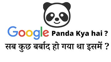What is The Google Panda Algorithm? Google Panda Penalty | Google Panda Algorithm in Hindi