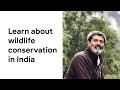 Learn about wildlife conservation in india
