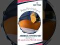 Patient Testimonial | Successful Abdominal Hysterectomy by Best Gynecologist in Adajan, Surat
