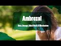 Ambroxol: Uses, Side Effects, How It Works & Dosage | Expectorant for Airway Secretion Clearance