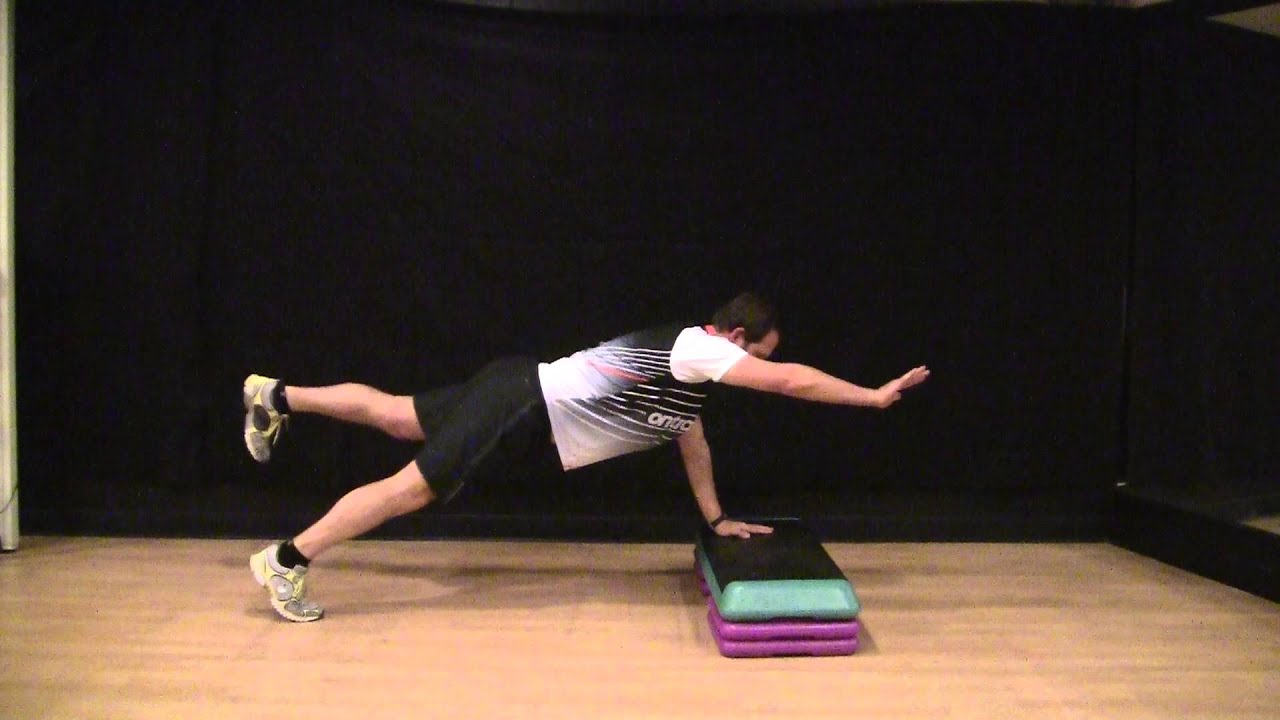 Plank Alternate Arm and Leg Raise - YouTube