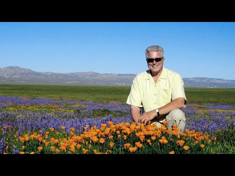 California's Gold   S12E8   Missing San Francisco