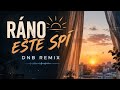 RÁNO EŠTE SPÍ (DNB REMIX) | Drum & Bass Full Track | Mak-ak